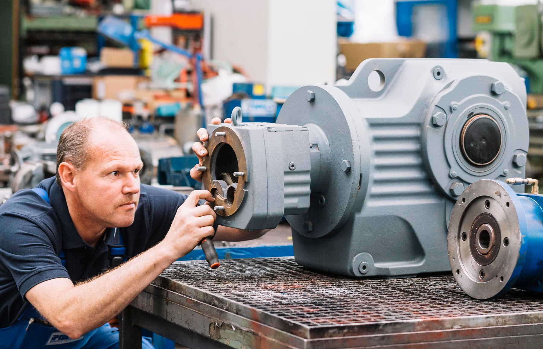 Ausbildung bei Pawils